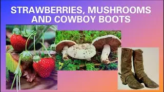 Strawberries, Mushrooms & Cowboy Boots