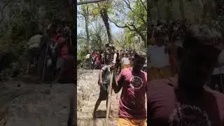 vellinkiri #trending #gallata #reels #wildlife #dog #wild #shiva #god #isha #vellingiri #kailash