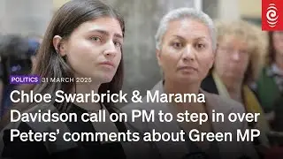 Call for prime minister to step in over Winston Peters' comments about Green MP | RNZ