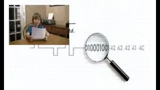 BitbyBitAnalytics - network problem resolution.avi