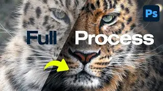 If I Had To Start Editing Wildlife Photos From Scratch, I'd Do This