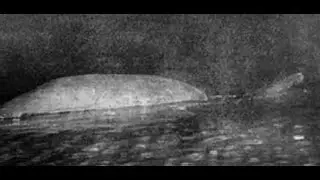 Parallax: Episode 19 - Loch Ness Monster: Pictures at an Exhibition