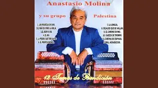 Dejalos que se vallan