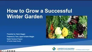 Growing a Successful Winter Garden