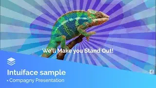 Company Presentation Intuiface Sample
