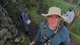 Walk in for Mgahinga Gorilla Trek