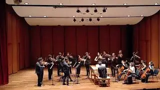 Sinfonia In G major mov4 Johann Friedrich Fasch Ensamble barroco de Bogot&aacute; & Camerata Iberacademy