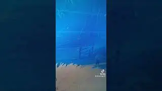 ele bugou