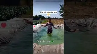 mitrica vtm ❤❤