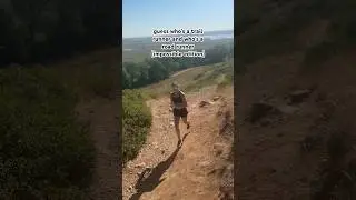 trail vs road runner 😅
