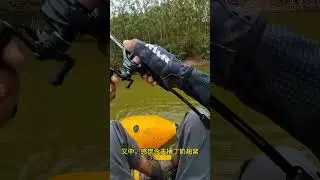 DANKUNG BFS Soft Plastic Ajing Rod