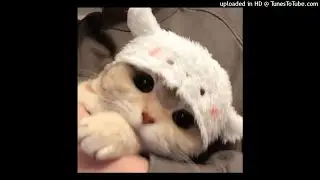 :P