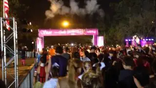 2014 Princess Half Marathon Weekend at Walt Disney World