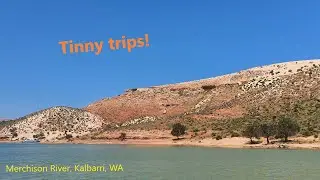 Kalbarri Holiday Day 6 - Tinny trips and night fishing!