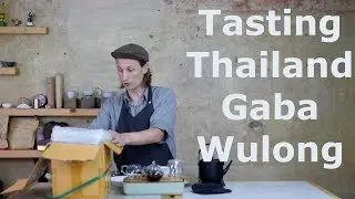Tea Addicts - GABA Wulong/Oolong Doi Mae Salong Thailand Jin Xuan Variety Gabaron