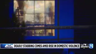 Deadly stabbing comes amid rise in domestic violence