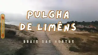 Pulgha de Liméns (letra) - Brais das Hortas