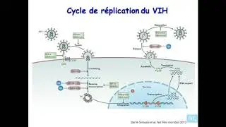 immunologie de l'infection VIH  partie 1