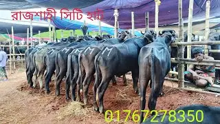 রাজশাহী সিটি হাট মহিষের বাজার 