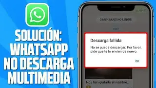 WhatsApp No Me Deja Descargar Archivos Multimedia ✅SOLUCI&Oacute;N (2026)