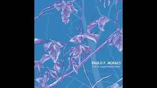 Paulo F. Moraes - Simplicit&egrave; (3/4 of experimentalism)