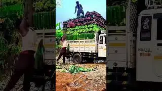 #reactiontime #viralreactions #trendingreactions #reactionvideo #1millionviews #facebookpost #follow