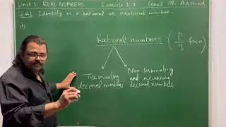 Exercise 1.1 Q1 | Rational / Irrational Numbers | Maths 9 | New Book