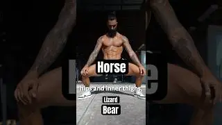 Animalistic Mobility Routine.