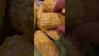 Rehydrating Corn on the Cob