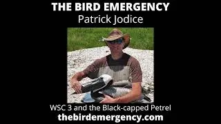 BE 053 Patrick Jodice talking WSC3 and Black-capped Petrels