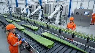Most Satisfying Aloe Vera Juice Factory Process | Modern Industrial Production ASMR
