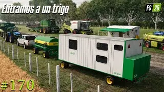 FS25 - Le entramos a un triguito - Estancia Santa Aurora Map