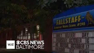 Raccoon captured in Baltimore school tested positive for rabies