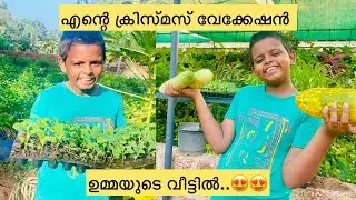 Christmas Vacation 😍😍| ഉമ്മയുടെ വീട്ടിലെ വേക്കേഷൻ 🪴🪴| Kasaragod |#gardening #vacation