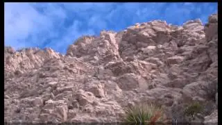 Ron Coleman Trail