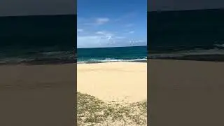 #beachvibes #waves #travelgoals #aloha #hawaii #tropicalparadise #paradise #angermanagement