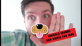 ANIMAL SOUNDS AND NAMES FOR KIDS. ESL VIDEO. Nazwy zwierząt w jezyku angielskim.