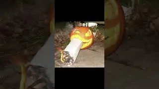 High quality images I have stumbled upon #memes #fyp #fypシ #funnyimages #viral #viralvideo