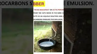 NATURAL RUBBER & VULCANIZATION OF RUBBER