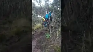 Mountain Kilimanjaro Umbwe Route