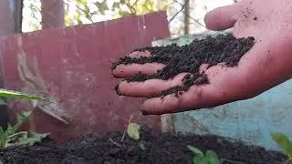 Acceleratori naturali pentru compost - Compost rapid