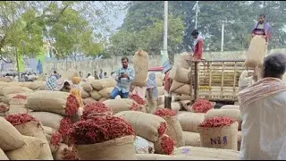 KHAMMAM MIRCHI MARKET TO TELANGANA RYTHU is live