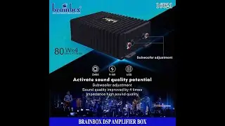 16021 DSP AMPLIFIER BOX 61