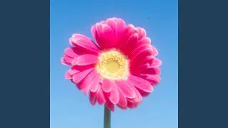 How Beautiful