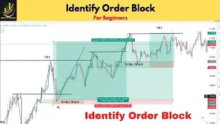 Order Block Part 2 - How to Identify Actual Order Block for Trade !!