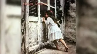 The Violent Femmes - 