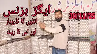 Egg Business 2025 | Daily Egg Rate Update | Anday Ki Mandi Ka Haal | Egg Market Today