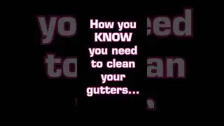 Maybe don&rsquo;t wait this long to clean your gutters&hellip; 🤫😄 #shorts #gutter