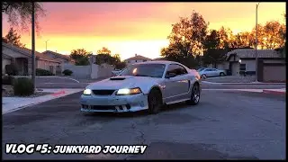 Journey to the Junkyard | Vlog #5