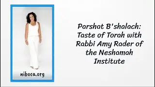 Taste of Torah: Parshat B&rsquo;Shalach | Rabbi Amy Rader | Modern Jewish Teaching & Inspiration